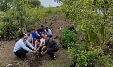 राॅॅयल महाविद्यालय के कैम्पस में 1000 फल के पेड़ों का वृक्षारोपण