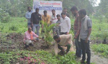 सामाजिक संस्था प्रिफर्ड जर्नलिस्ट एसोसिएशन के तत्वाधान में किया गया पोधारोपण 