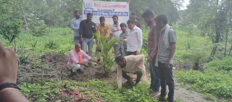 सामाजिक संस्था प्रिफर्ड जर्नलिस्ट एसोसिएशन के तत्वाधान में किया गया पोधारोपण 