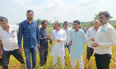 अल्प वर्षा से फसलों में हुआ नुकसान, विधायक ने लिखा मुख्यमंत्री को पत्र