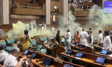 बड़ा मामला एक बार फिर संसद की सुरक्षा में  चूक