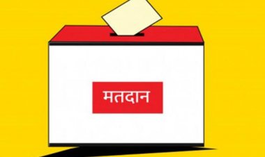 संसदीय क्षेत्र रतलाम झाबुआ, देख कितना प्रतिशत हुआ मतदान