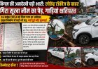 निगम की अनदेखी पड़ी भारी: लोकेंद्र टॉकीज के बाहर गिरा सूखा नीम का पेड़, गाड़ियां क्षतिग्रस्त