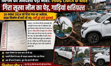 निगम की अनदेखी पड़ी भारी: लोकेंद्र टॉकीज के बाहर गिरा सूखा नीम का पेड़, गाड़ियां क्षतिग्रस्त