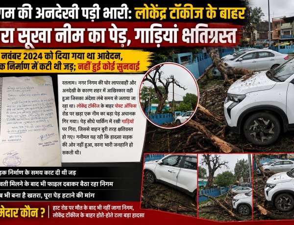 निगम की अनदेखी पड़ी भारी: लोकेंद्र टॉकीज के बाहर गिरा सूखा नीम का पेड़, गाड़ियां क्षतिग्रस्त
