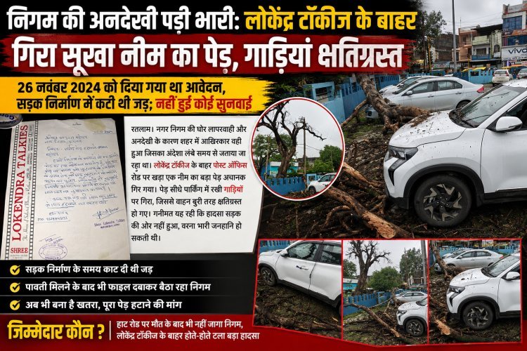 निगम की अनदेखी पड़ी भारी: लोकेंद्र टॉकीज के बाहर गिरा सूखा नीम का पेड़, गाड़ियां क्षतिग्रस्त